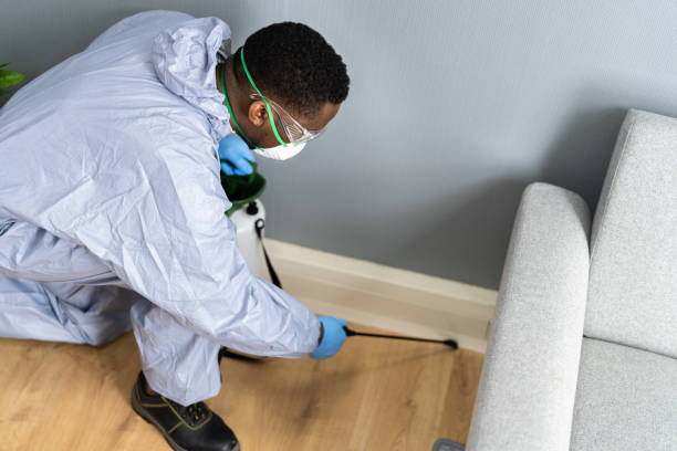 Best Residential Pest Control  in Central Islip, NY